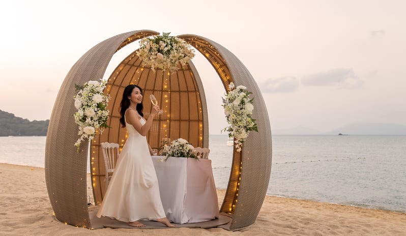 Cocoon - Dining by Design